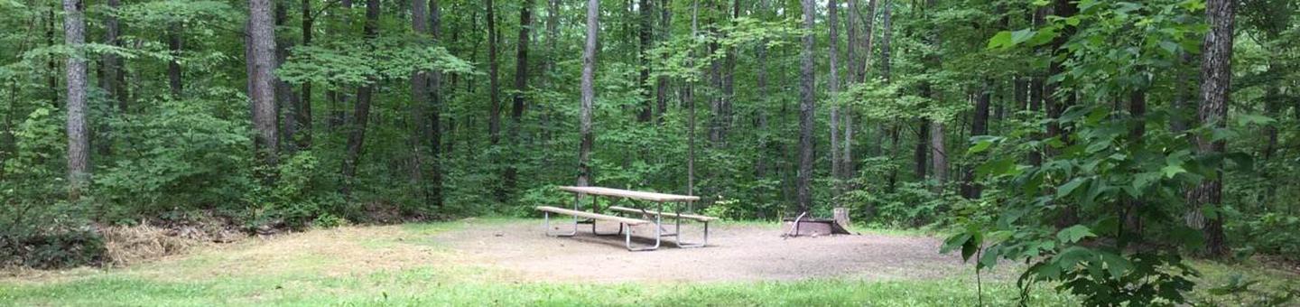 Tracy Ridge Recreation Area: Campsite 102
