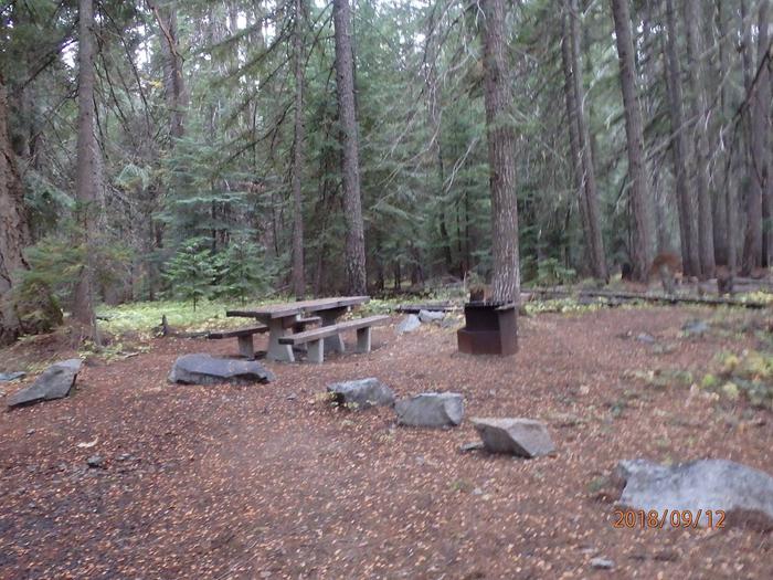 Pleasant ValleySet among old growth forest this site offers space for one tent or RV