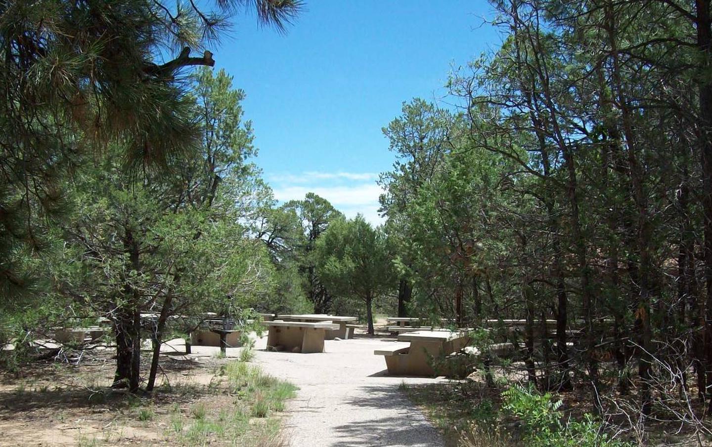 this is a picture of the path leading into Locust group sitePath leading to Locust Picnic Group Site