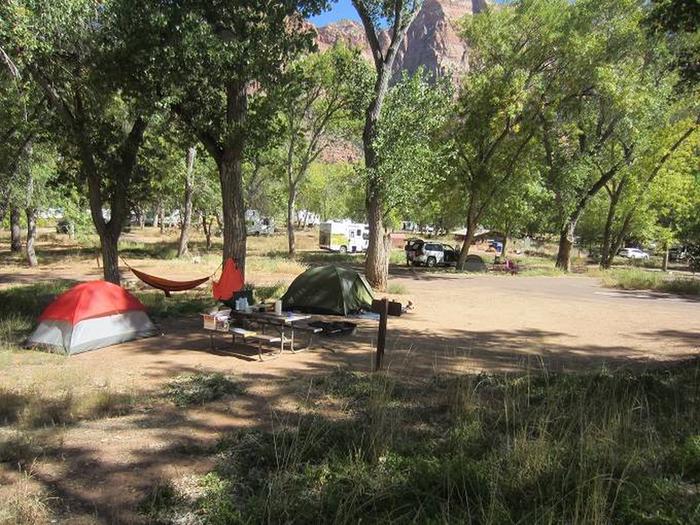 Tent site Site 7