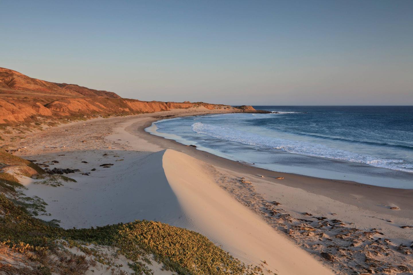 Sandy beach with ocean and small waves and steep coastal bluffs covered in dry grass. Southwest coast of Santa Rosa Island.