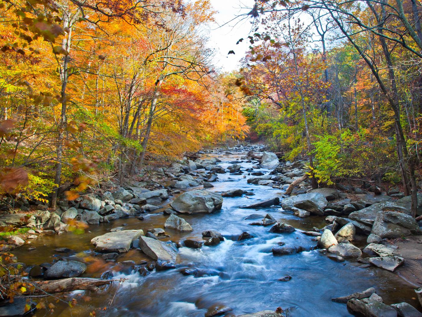 Rock Creek Park Group Picnic Areas, Rock Creek Park - Recreation.gov