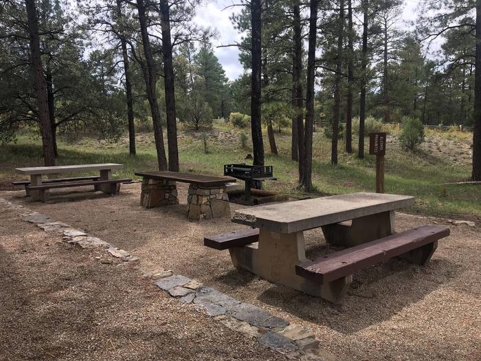 Picnic tables and grills.Tables and grill at Pine Flat Group Site A