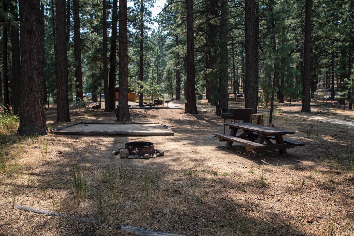 Indian Creek Campground Site #6