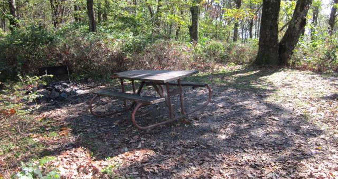 Loft Mountain Campground - Site 31Picnic table on campsite