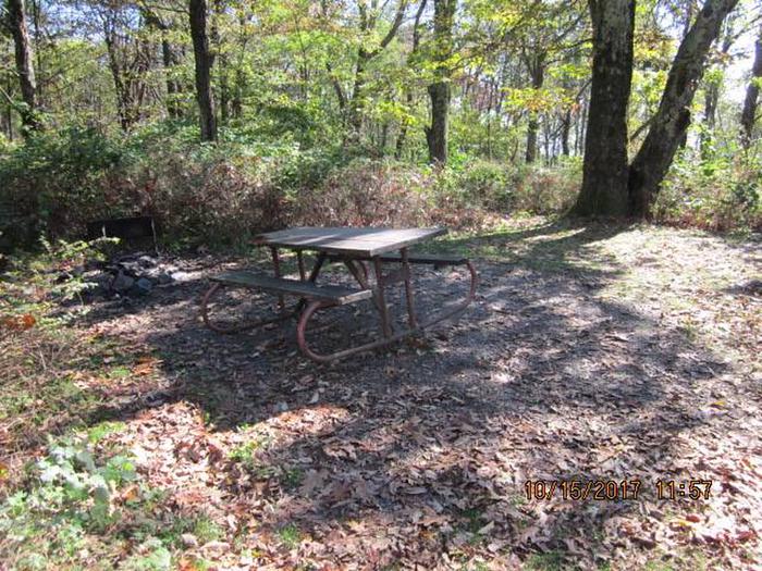 Loft Mountain Campground - Site 31Picnic table on campsite