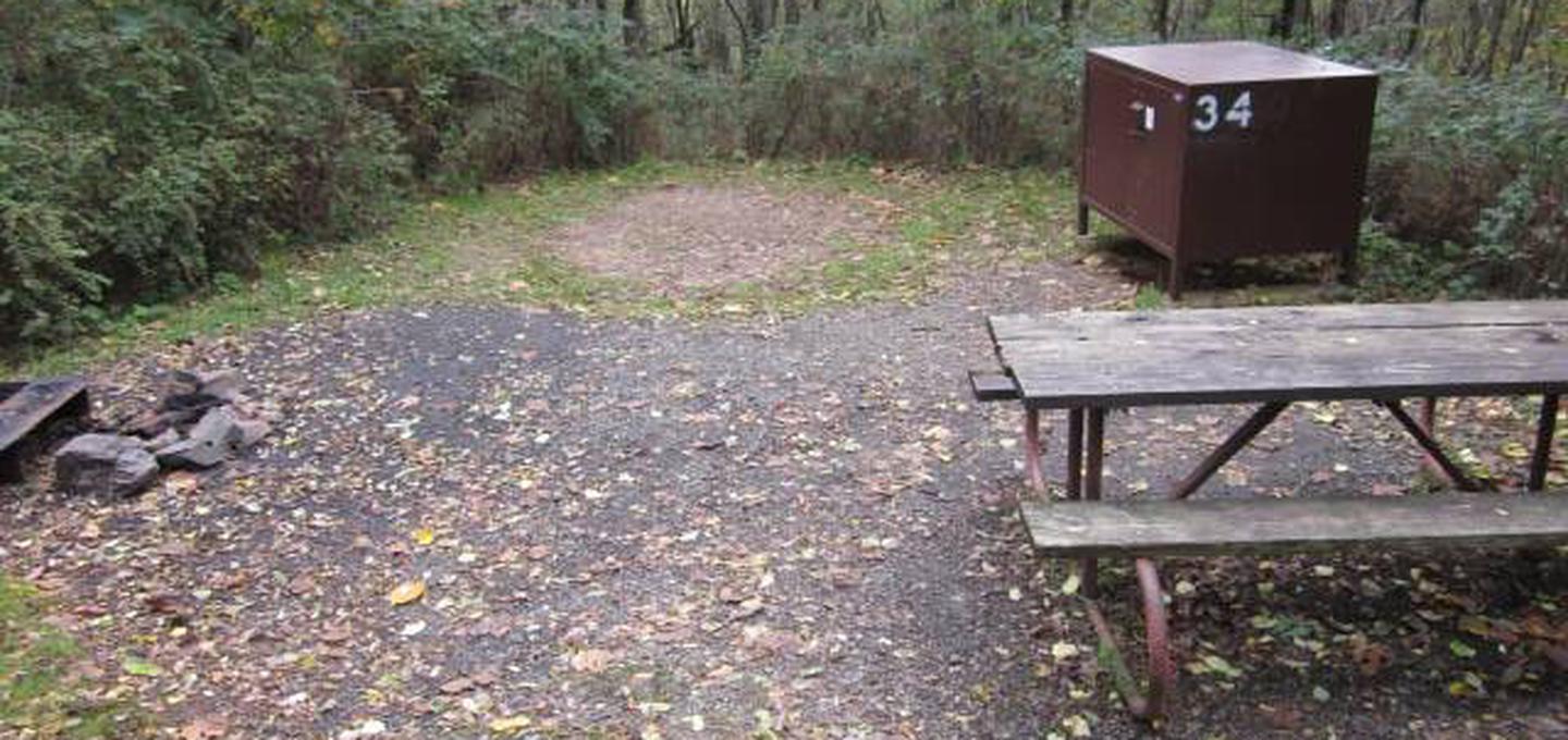 Loft Mountain Campground - Site 34Picnic table, food storage locker, and fire pit on campsite
