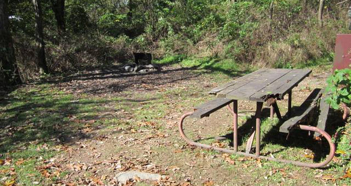 Loft Mountain Campground - Site 35Picnic table, food storage locker, and fire pit on campsite