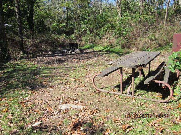 Loft Mountain Campground - Site 35Picnic table, food storage locker, and fire pit on campsite