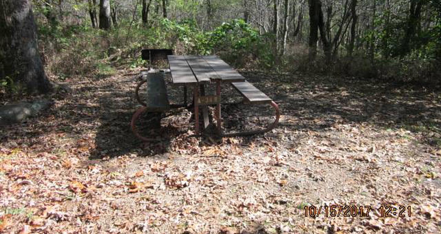 Loft Mountain Campground - Site 44Picnic table and fire pit on campsite