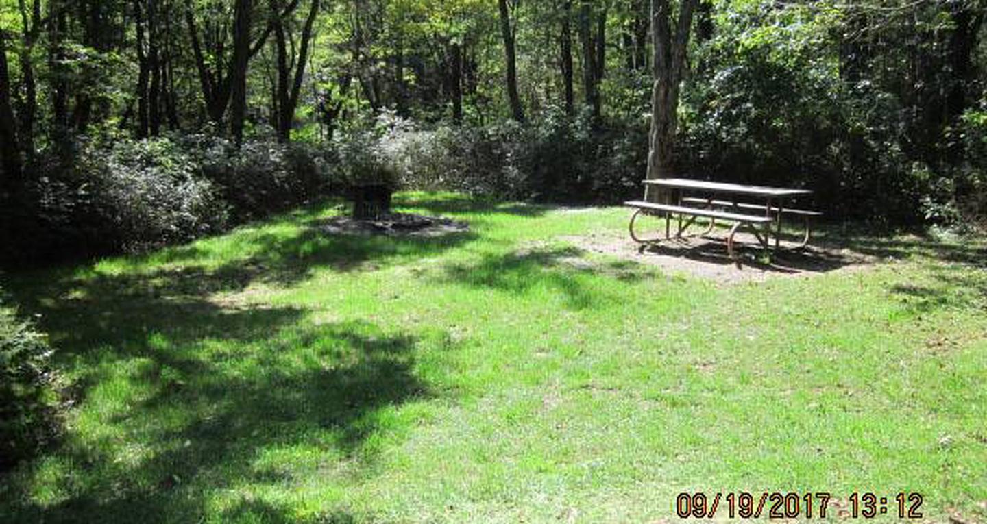 Site F172 with Picnic Table