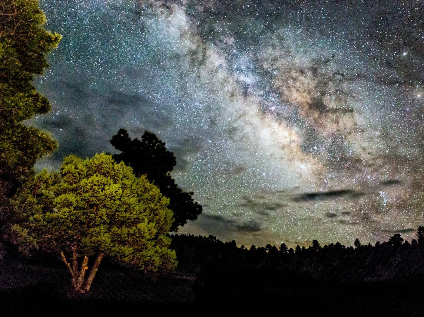 Gila National Forest, New Mexico - Recreation.gov