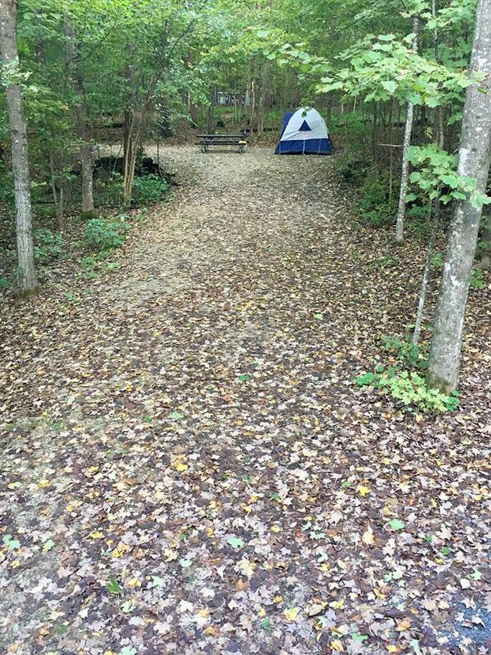 Site 25 with tent 