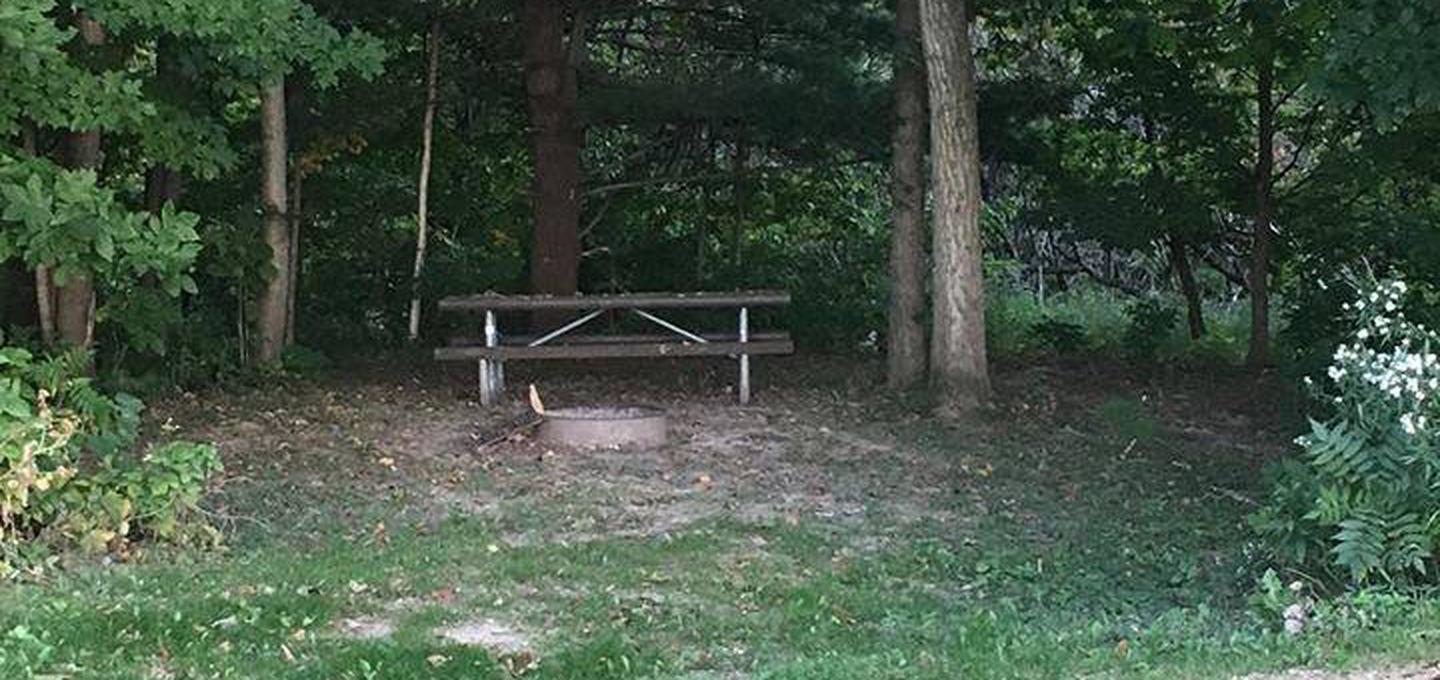 Site E03 ground image of fire ring and picnic table