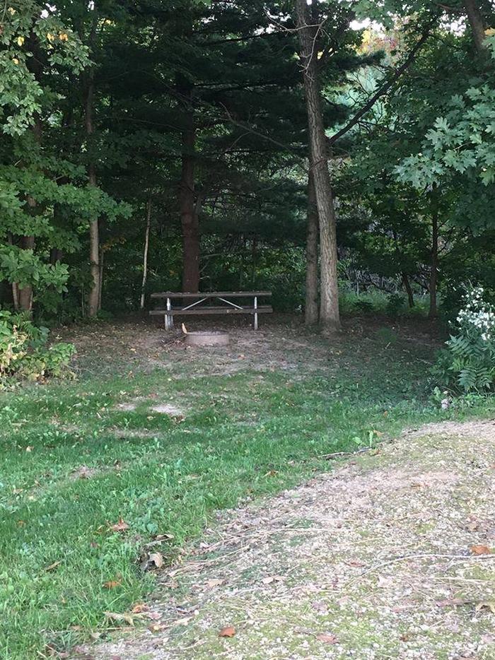 Site E03 ground image of fire ring and picnic table (entire photo)