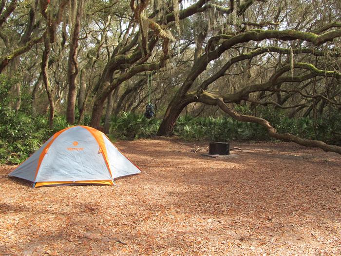 campsite with fire ring surrounded by palmettos, under live oak branchesStafford Beach site 3