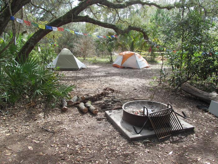 campsite with fire ring surrounded by palmettos, under live oak branchesStafford Beach site 6