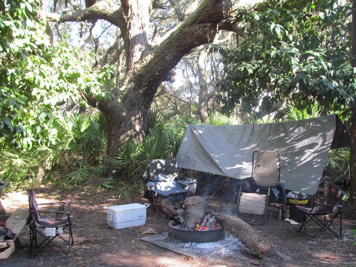 campsite with picnic table, food cage, and fire ring under live oak treesSea Camp site 7