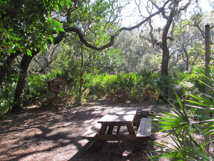 campsite with picnic table, food cage, and fire ring under live oak treesSea Camp site 8