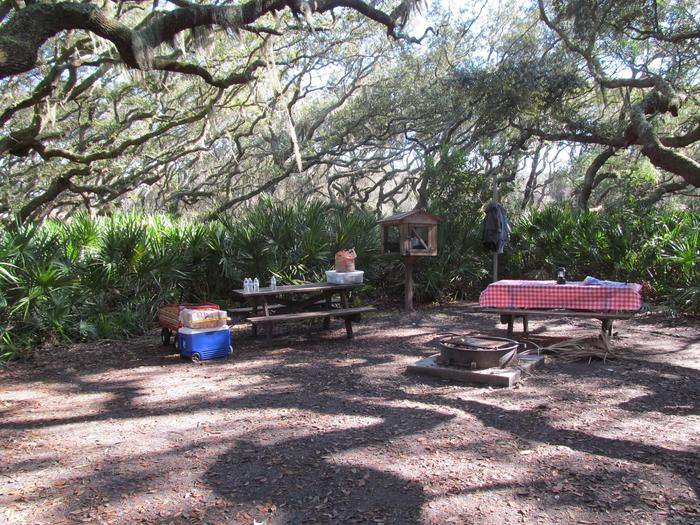 campsite with picnic table, food cage, and fire ring under live oak treesSea Camp site 9