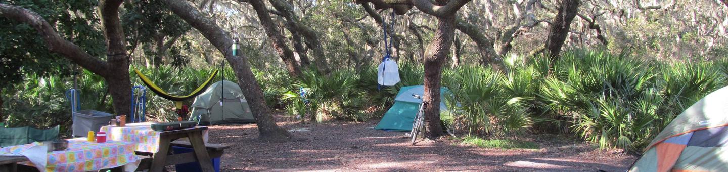 campsite with picnic table, food cage, and fire ring under live oak treesSea Camp Group North