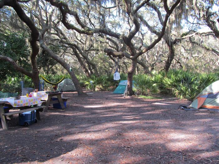 campsite with picnic table, food cage, and fire ring under live oak treesSea Camp Group North