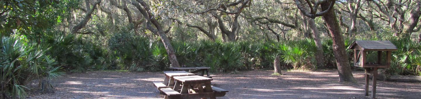 campsite with picnic table, food cage, and fire ring under live oak treesSea Camp Group South