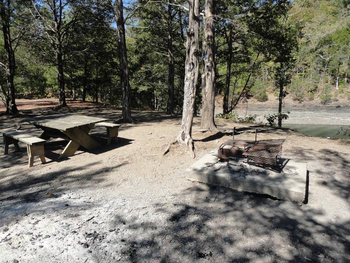  11 Hendrick's Creek camping area with campfire grill
11 Hendrick's Creek
