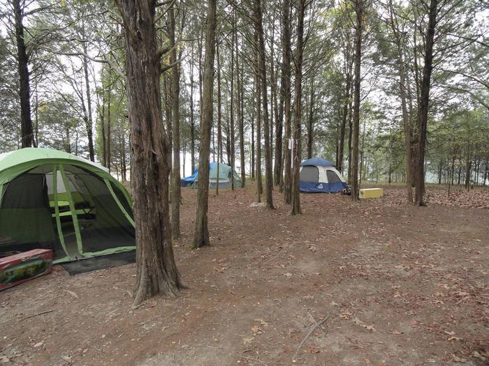 5A Kemper Flats A tents pitched on dirt under trees5A Kemper Flats A