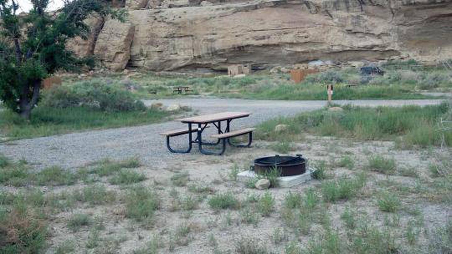 RV Campsite with picnic table and fire grate
