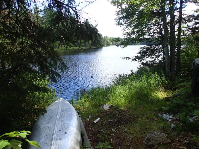 View looking out from Brown Lake canoe access