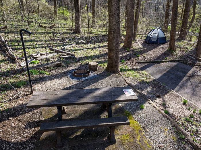 Owens Creek Site #3 showing picnic table, tent pad with tent, grill, and parking space.Owens Creek Site #3