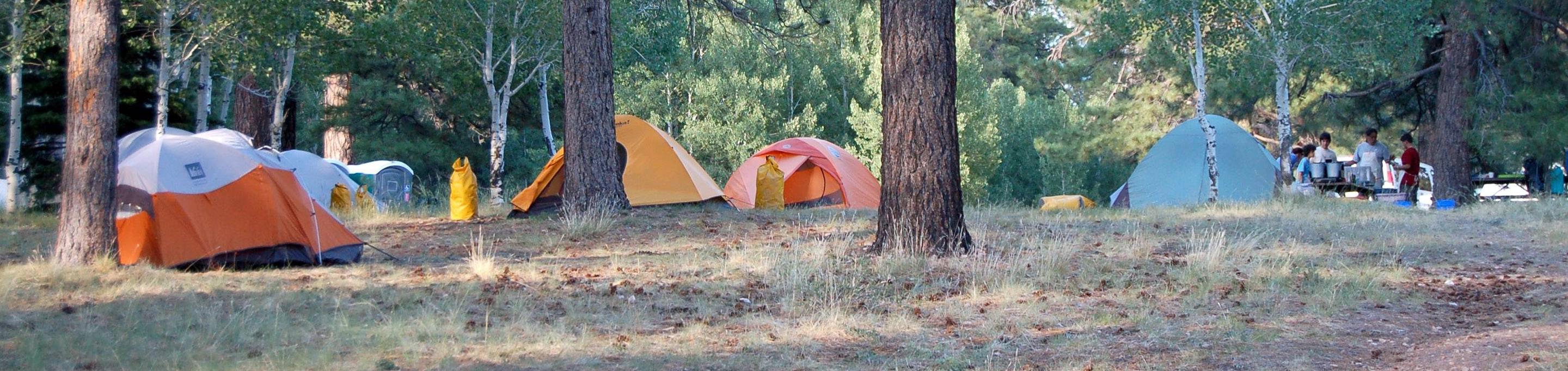 North Rim Campground Grand Canyon National Park Recreation Gov