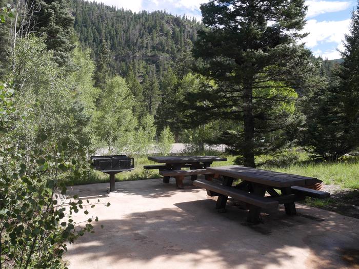 Lower Loop Site 6 partially shaded with picnic tables, grill and mountain views