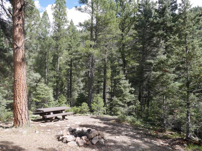 Lower Loop Site 9 with picnic table and fire pit