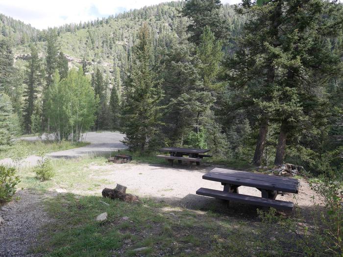 Lower Loop Site 10 with picnic tables, fire pit and mountain views
