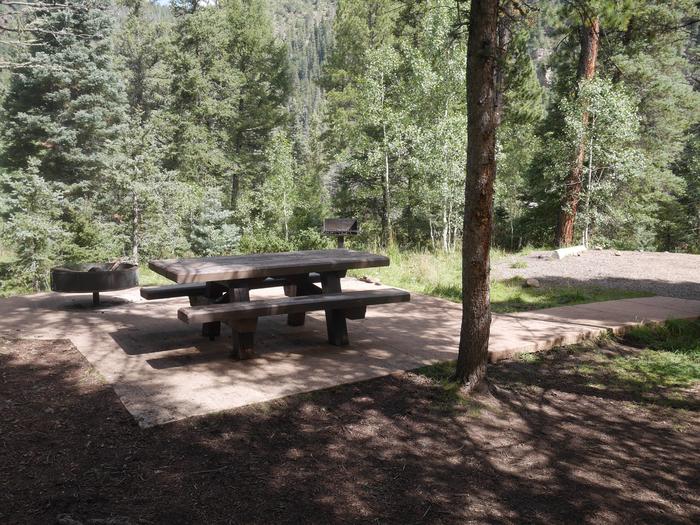 Loop A Site 14 shaded area with picnic table, grill and fire ring
