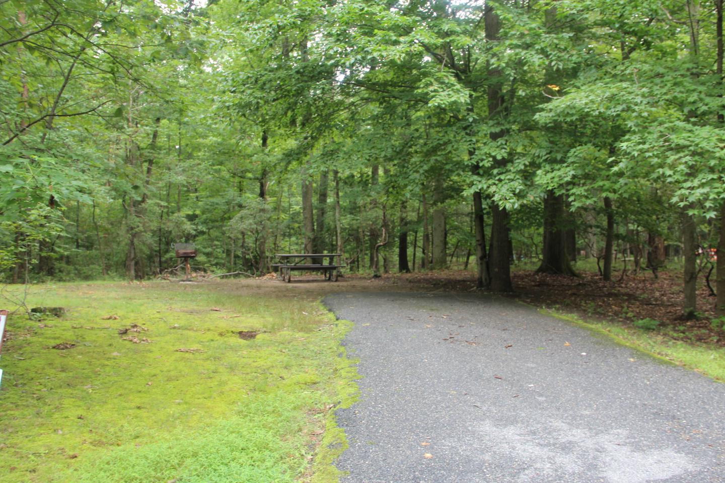 D 164 D Loop of the Greenbelt Park Maryland campground (Former Site 174) 