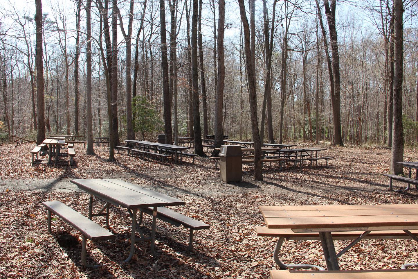 Laurel Reserved Picnic Area picnic tables  Greenbelt Park Maryland Laurel Reserved Picnic Area  Greenbelt Park Maryland 