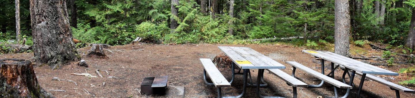 Two picnic tables in siteView of campsite