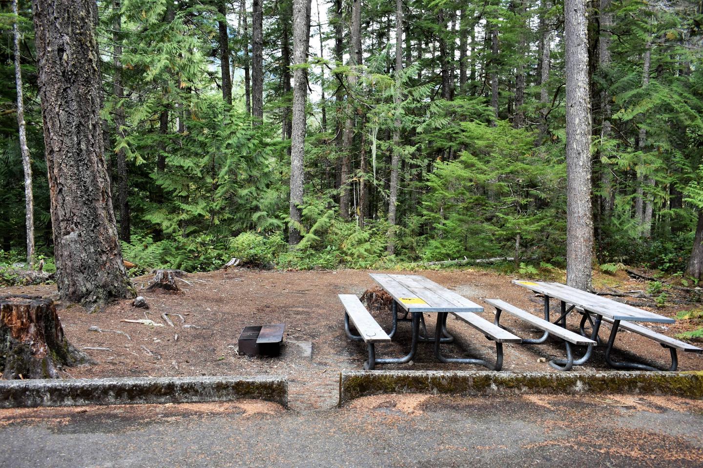 Two picnic tables and fire ringView of campsite