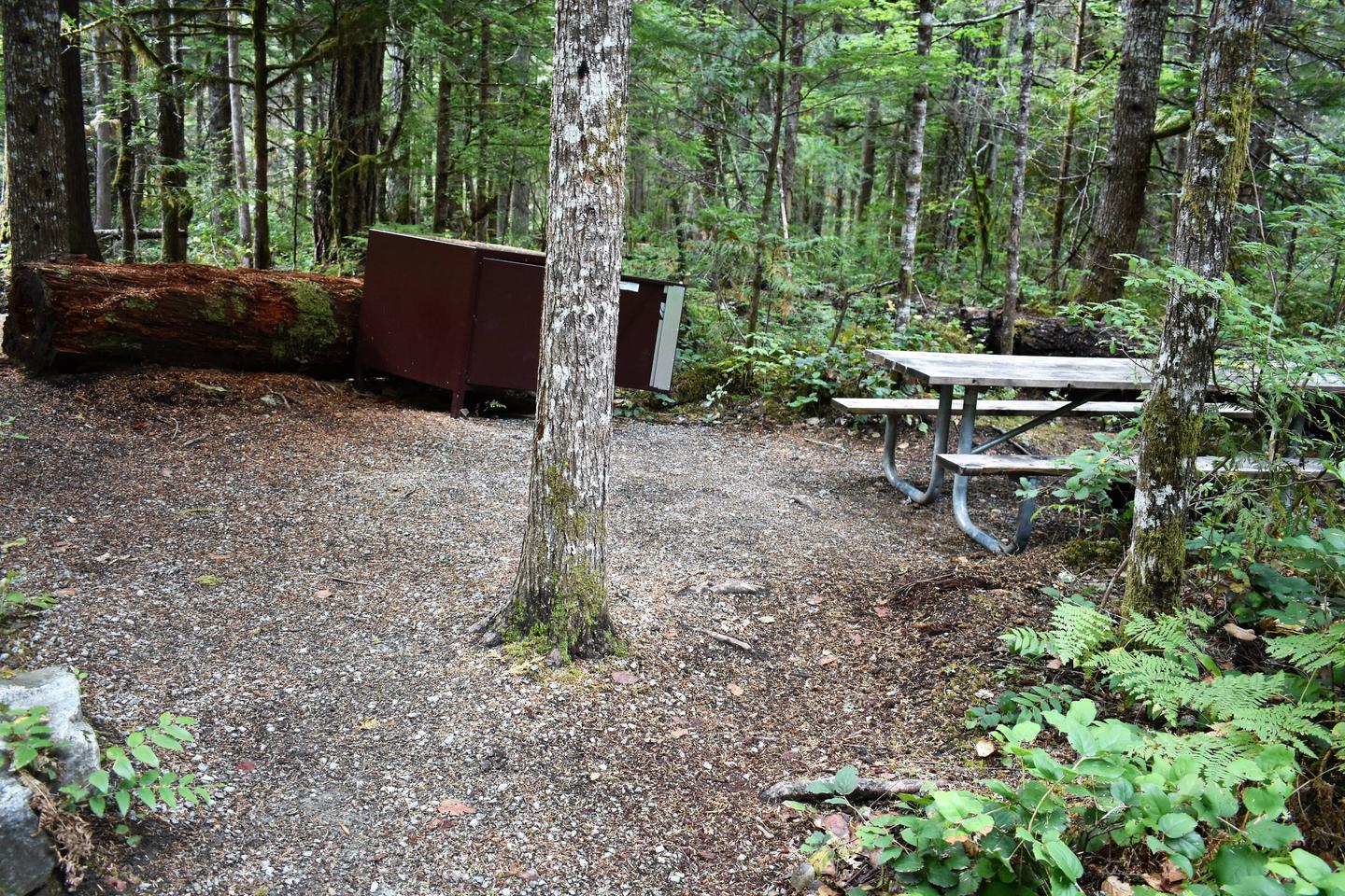 Picnic table and food storage lockerView of campsite