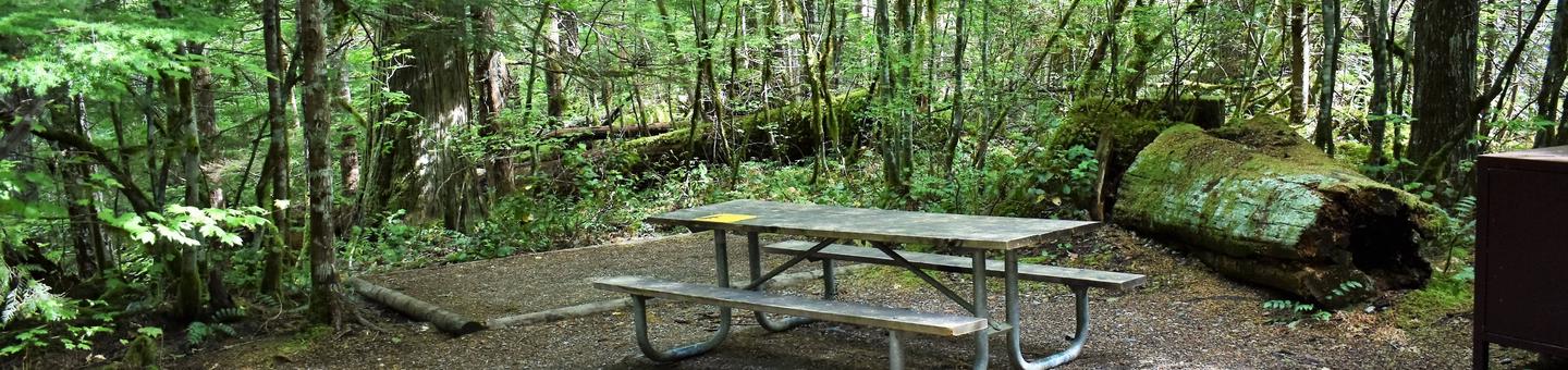 Tent pad, picnic table, and food storage lockerView of campsite