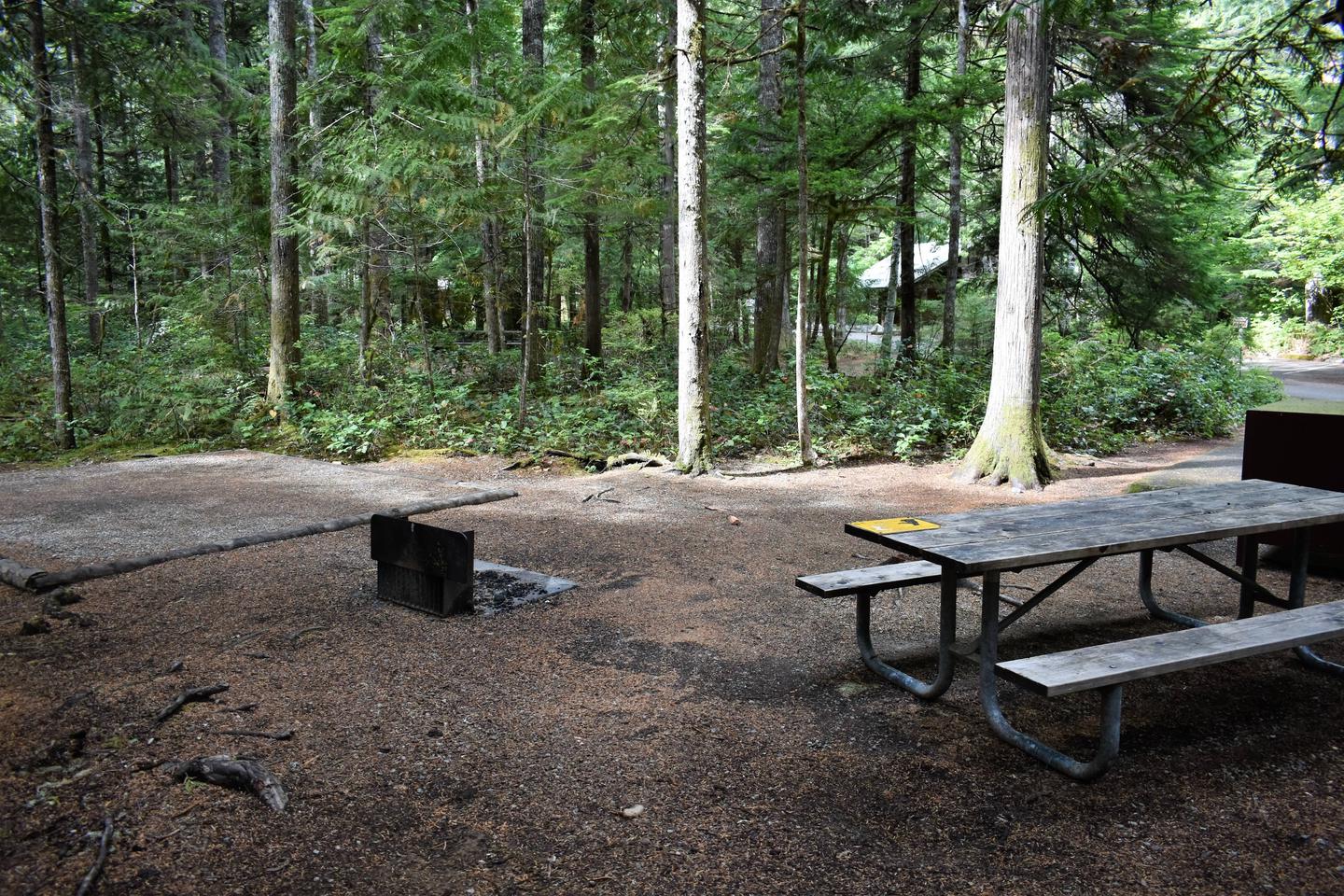 Tent pad, fire ring, picnic table, and food storage lockerView of campsite