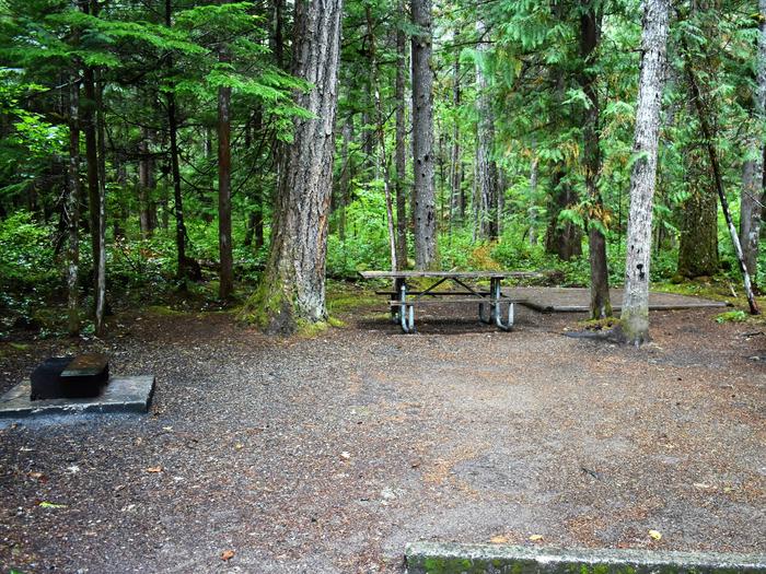 Fire ring, picnic table, tent pad, and food storage lockerView of campsite