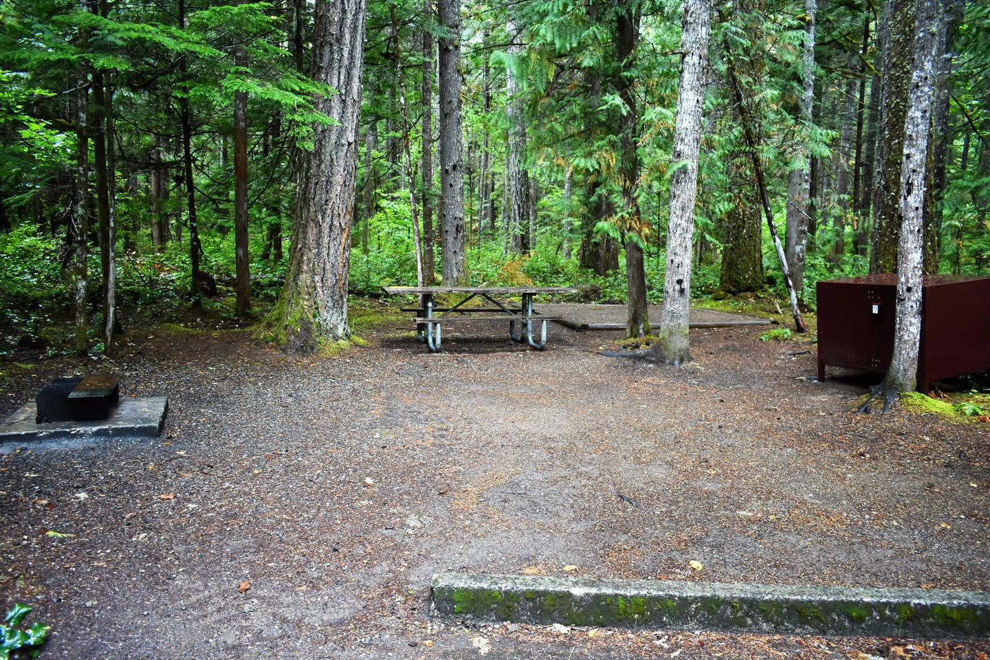 Fire ring, picnic table, tent pad, and food storage lockerView of campsite