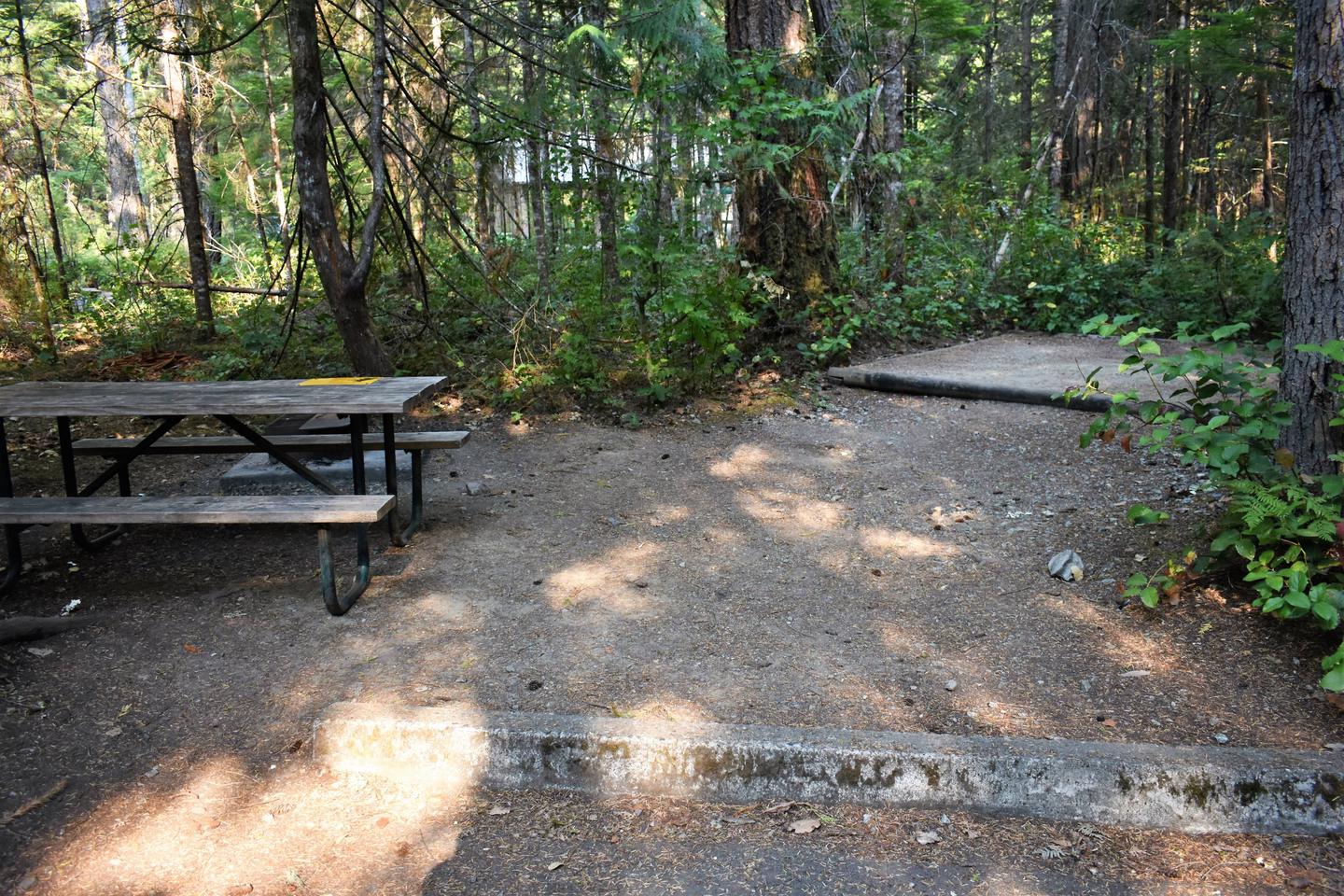 Picnic table and tent padView of campsite