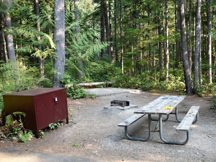 Food storage locker, tent pad, fire ring, and picnic tableView of campsite