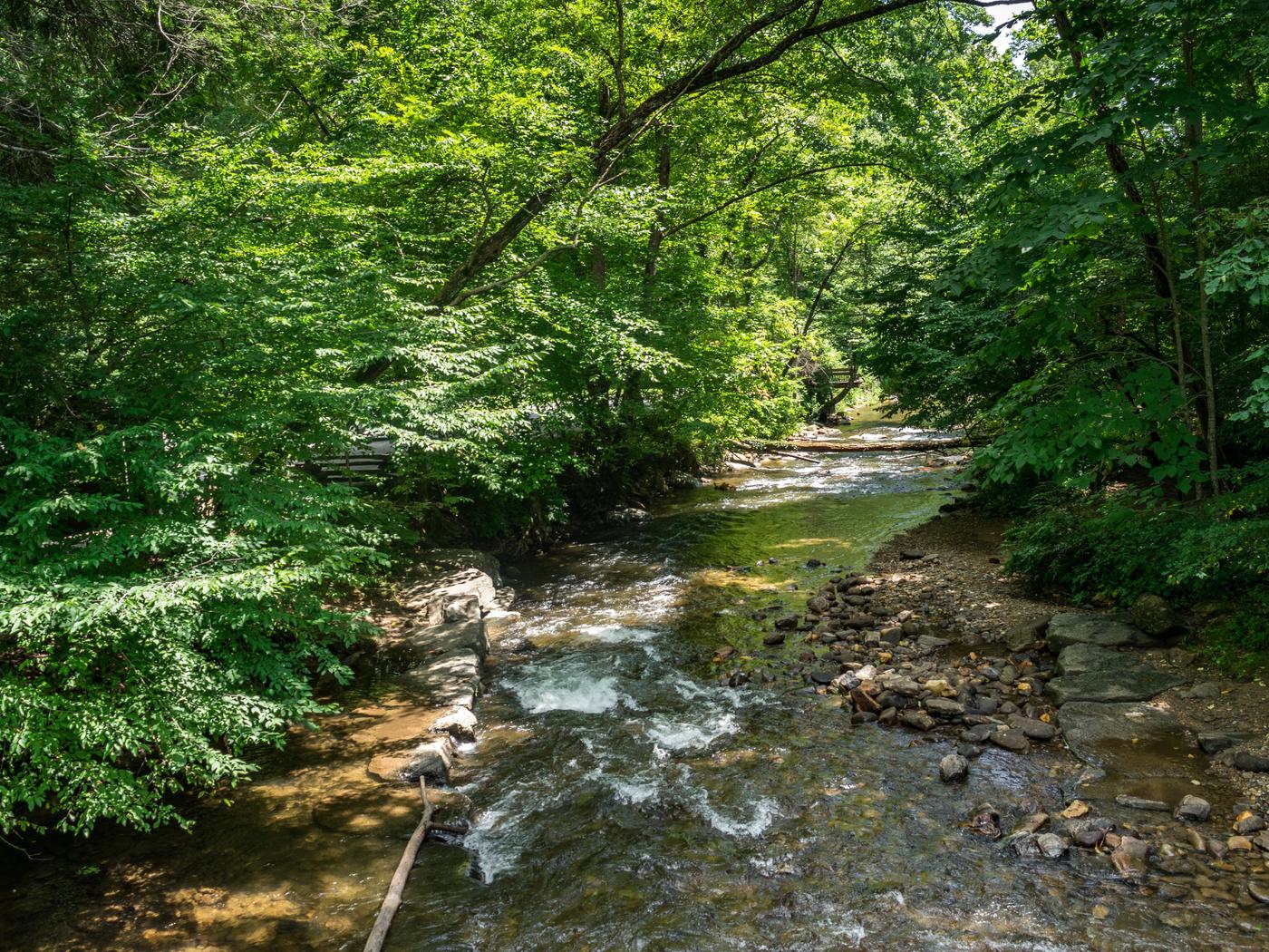 North Mills River, National Forests In North Carolina - Recreation.gov