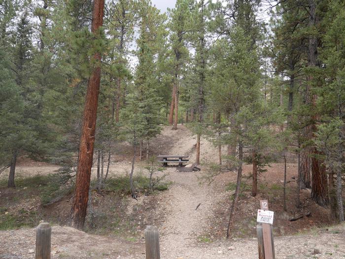Site 12 with parking, campfire ring, and picnic table.